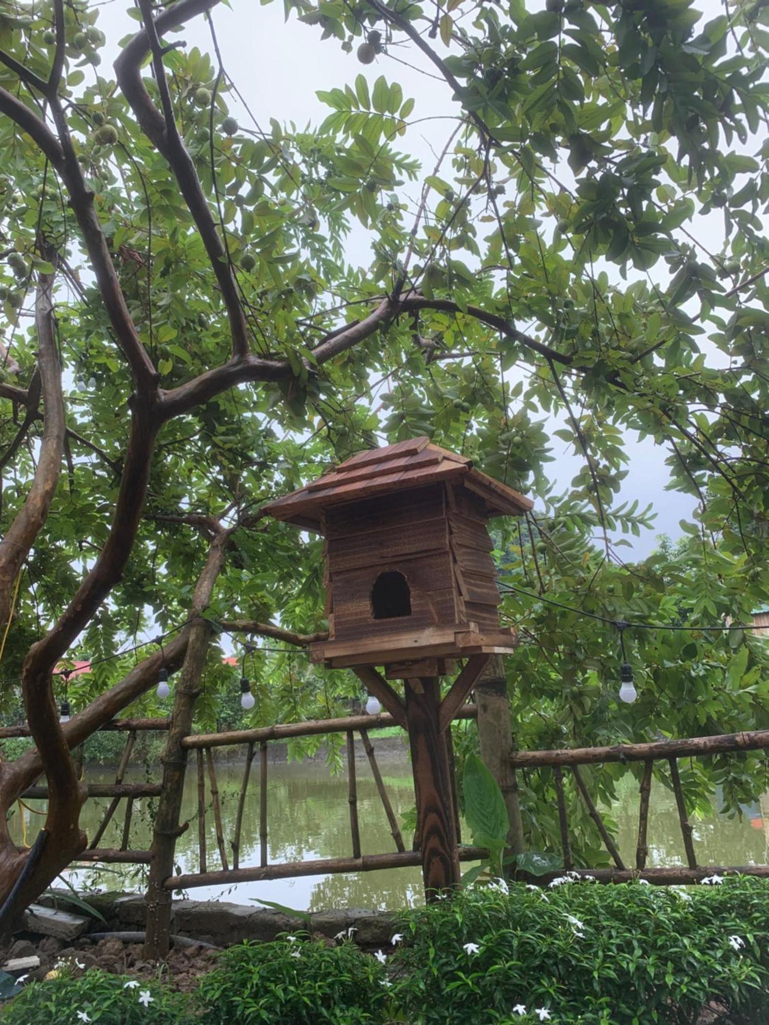 نينه بينه Peaceful Refuge Homestay المظهر الخارجي الصورة