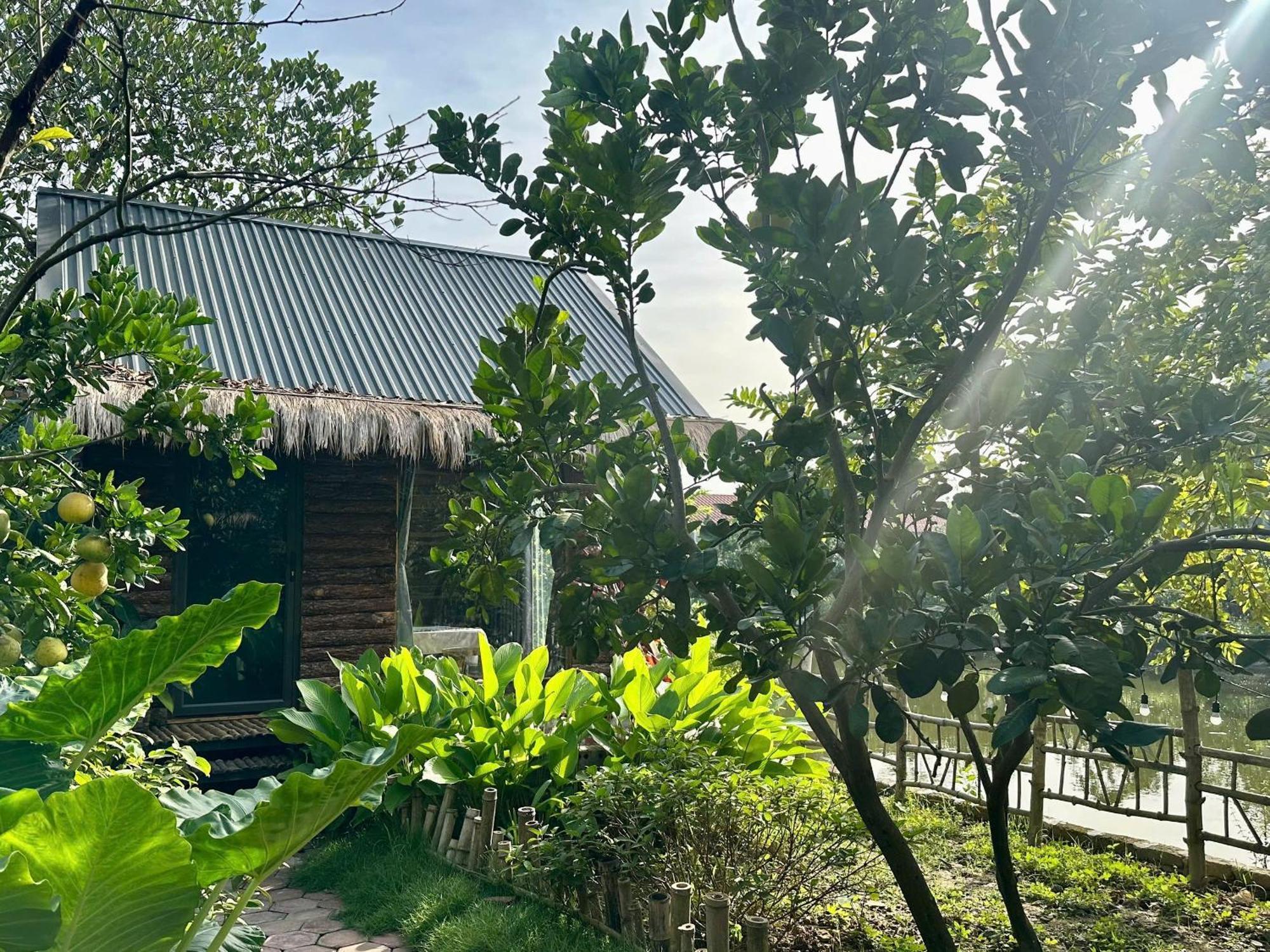 نينه بينه Peaceful Refuge Homestay المظهر الخارجي الصورة